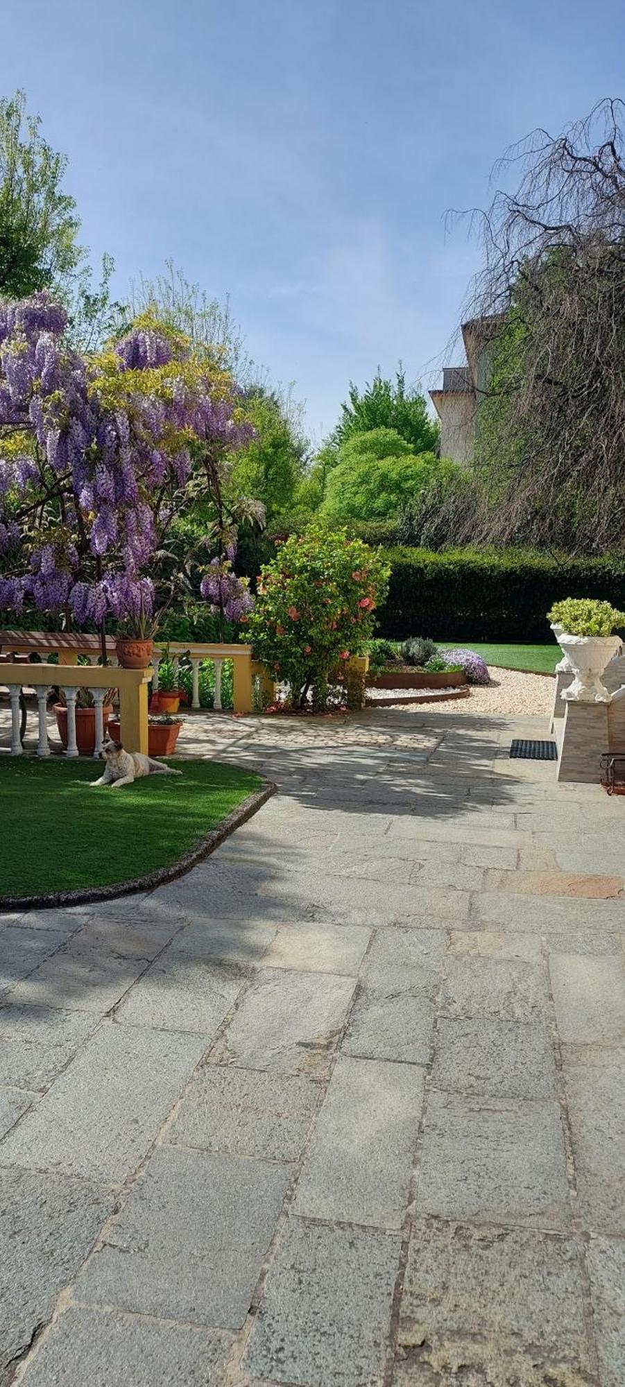 Villa Lina เกรโมนา ภายนอก รูปภาพ